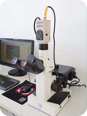 Metallurgical Microscope